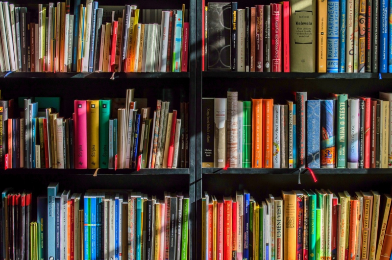 vente-ST MARTIN VESUBIE-min_books_bookstore_book_reading_shop_writer_sale_books_read-822866